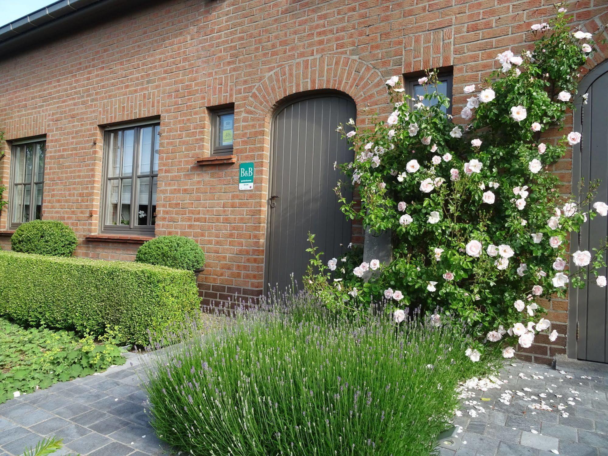B&B De Passant Jabbeke  Exterior photo